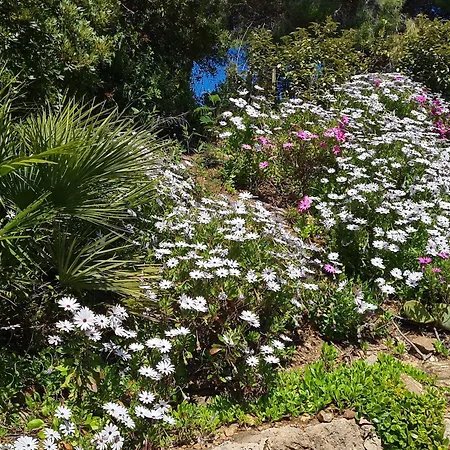 Villa Lou Pei 2 *